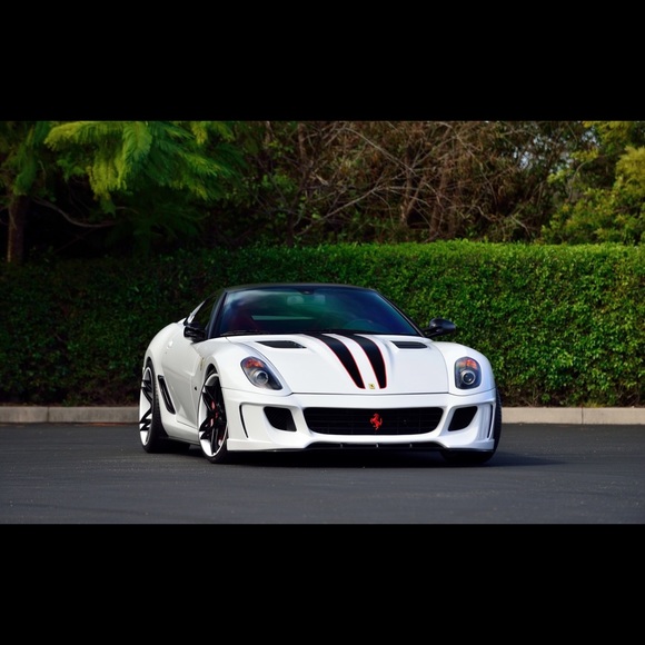 Meet your Posher, Elijah - Picture 1 of 1